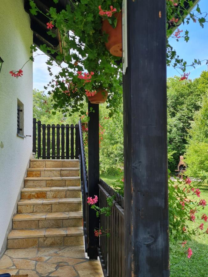 라코비카 Apartman Poznanovic 아파트 외부 사진